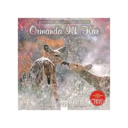 Ormanda İlk Kar - Carl R. Sams II - 1001 Çiçek Kitaplar