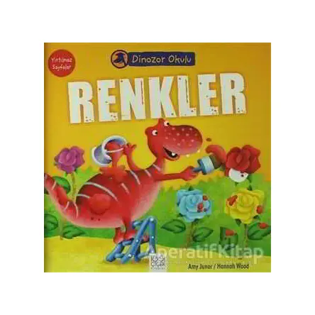 Renkler - Amy Junor - 1001 Çiçek Kitaplar