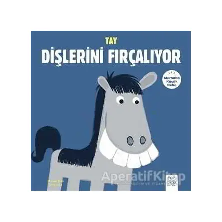 Merhaba Küçük Deha - Tay Dişlerini Fırçalıyor - Michael Dahl - 1001 Çiçek Kitaplar