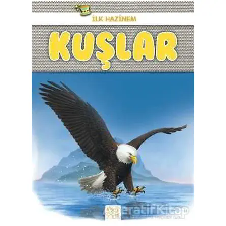 Kuşlar - İlk Hazinem - Denise Ryan - 1001 Çiçek Kitaplar