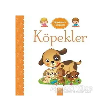 Hayvanları Tanıyalım - Köpekler - Emilie Belineau - 1001 Çiçek Kitaplar