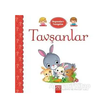 Hayvanları Tanıyalım - Tavşanlar - Emilie Belineau - 1001 Çiçek Kitaplar