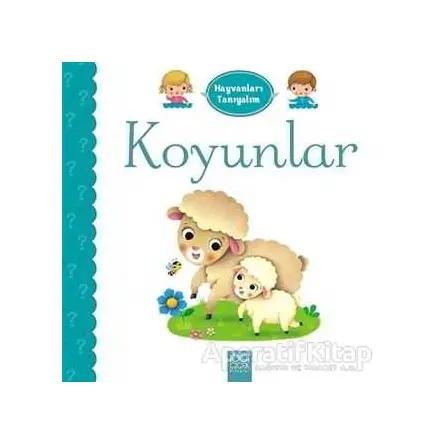 Hayvanları Tanıyalım - Koyunlar - Emilie Belineau - 1001 Çiçek Kitaplar