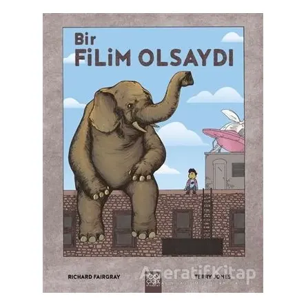 Bir Filim Olsaydı - Richard Fairgray - 1001 Çiçek Kitaplar