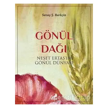 Gönül Dağı - Savaş Şafak Barkçin - Erdem Yayınları