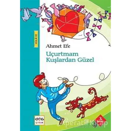 Uçurtmam Kuşlardan Güzel - Ahmet Efe - Nar Yayınları