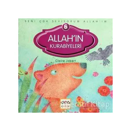 Allahın Kurabiyeleri - Claire Jobert - Nar Yayınları