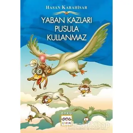 Yaban Kazları Pusula Kullanmaz - Hasan Karahisar - Nar Yayınları