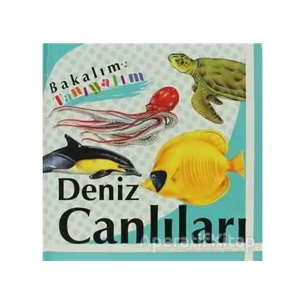 Bakalım Tanıyalım: Deniz Canlıları - Kolektif - Final Kültür Sanat Yayınları