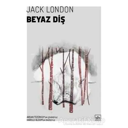 Beyaz Diş - Jack London - İthaki Yayınları