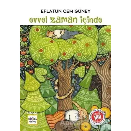 Evvel Zaman İçinde - Eflatun Cem Güney - Nar Yayınları