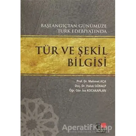 Başlangıçtan Günümüze Türk Edebiyatında Tür ve Şekil Bilgisi - Haluk Gökalp - Kesit Yayınları