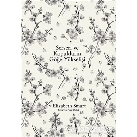 Serseri ve Kopukların Göğe Yükselişi - Elizabeth Smart - Sözcükler Yayınları