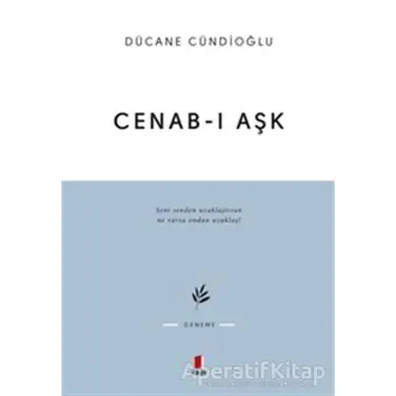 Cenab-ı Aşk - Dücane Cündioğlu - Kapı Yayınları