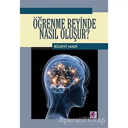 Öğrenme Beyinde Nasıl Oluşur? - Bülent Madi - Efil Yayınevi