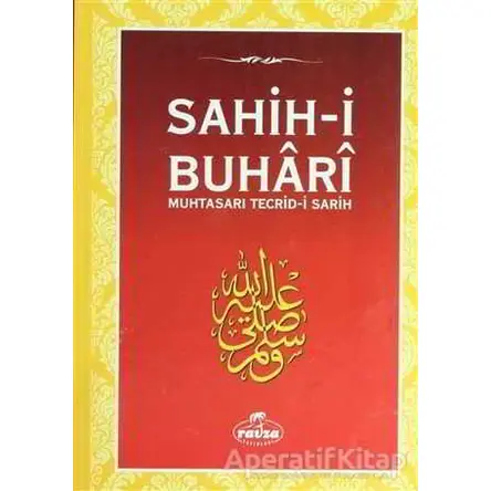 Muhtasar Tecridi Sarih - Sahihi Buhari