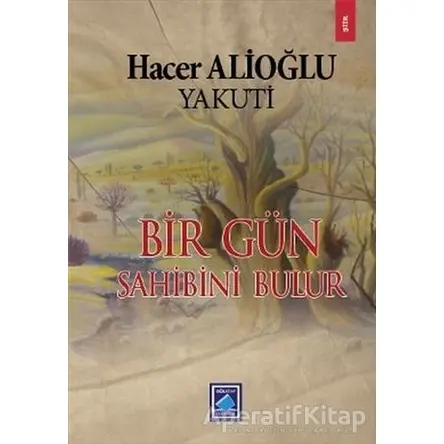 Bir Gün Sahibini Bulur - Hacer Alioğlu - Göl Yayıncılık