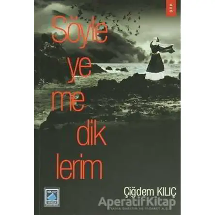Söyleyemediklerim - Çiğdem Kılıç - Göl Yayıncılık