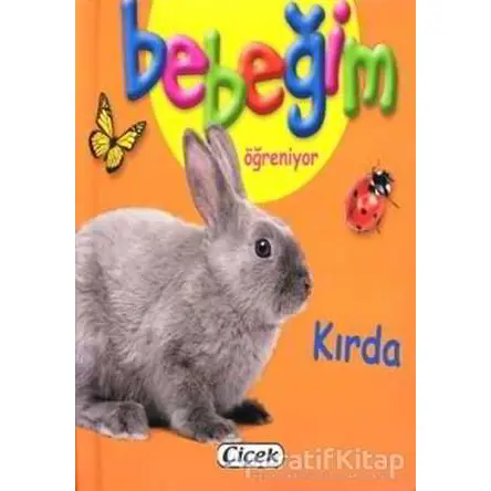 Bebeğim Öğreniyor - Kırda - Kolektif - Çiçek Yayıncılık