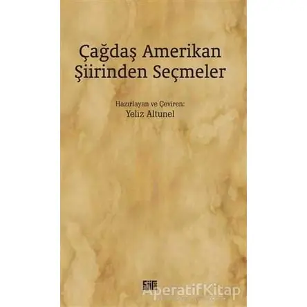 Çağdaş Amerikan Şiirinden Seçmeler - Yeliz Altunel - Şiirden Yayıncılık