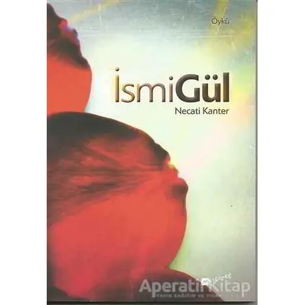 İsmigül - Necati Kanter - Meserret Yayınları