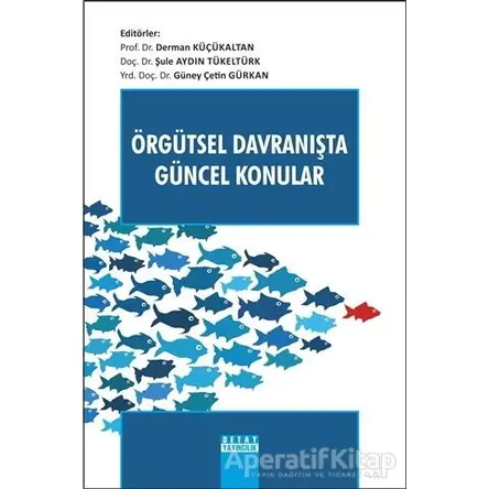 Örgütsel Davranışta Güncel Konular - Derman Küçükaltan - Detay Yayıncılık