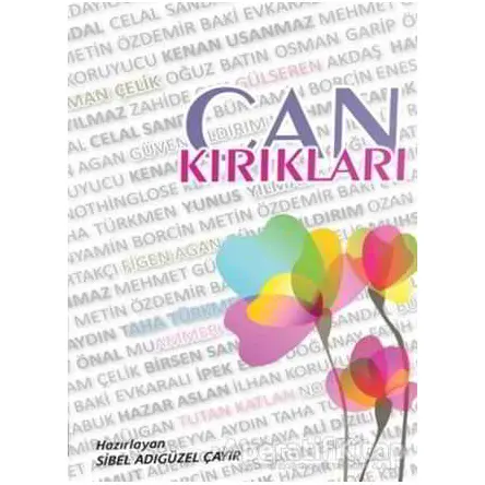 Can Kırıkları - Sibel Adıgüzel Çayır - Altın Post Yayıncılık