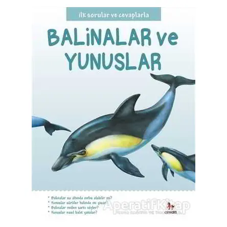 Balinalar ve Yunuslar - Belinda Gallagher - Almidilli