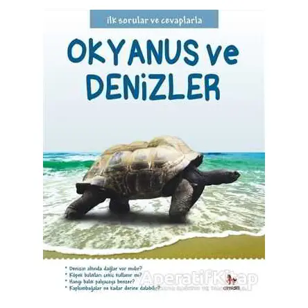 Okyanuslar ve Denizler - Belinda Gallagher - Almidilli
