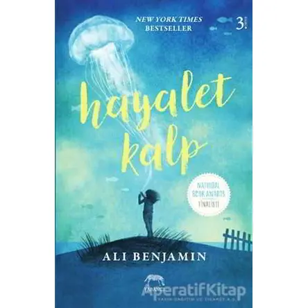 Hayalet Kalp - Ali Benjamin - Yabancı Yayınları