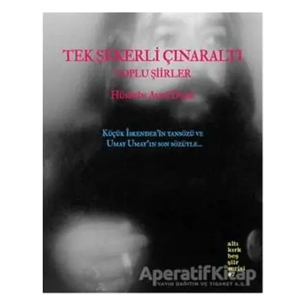 Tek Şekerli Çınaraltı - Hüseyin Avni Dede - Altıkırkbeş Yayınları