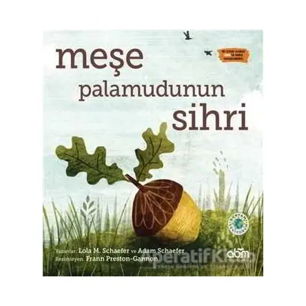 Meşe Palamudunun Sihri - Adam Schaefer - Abm Yayınevi