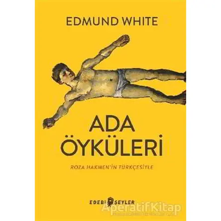 Ada Öyküleri - Edmund White - Edebi Şeyler