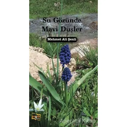 Su Gözünde Mavi Düşler - Mehmet Ali Şenli - Payda Yayıncılık