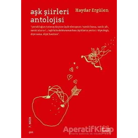 Aşk Şiirleri Antolojisi - Haydar Ergülen - Kırmızı Kedi Yayınevi