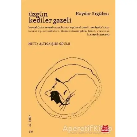 Üzgün Kediler Gazeli - Haydar Ergülen - Kırmızı Kedi Yayınevi