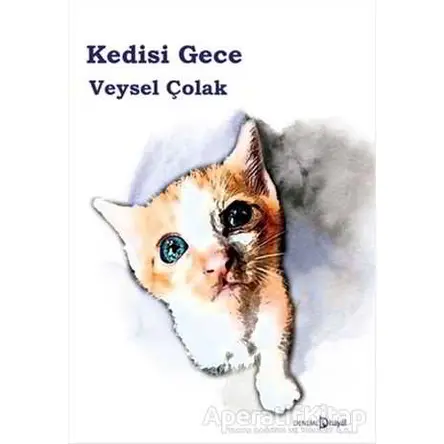 Kedisi Gece - Veysel Çolak - Hayal Yayınları