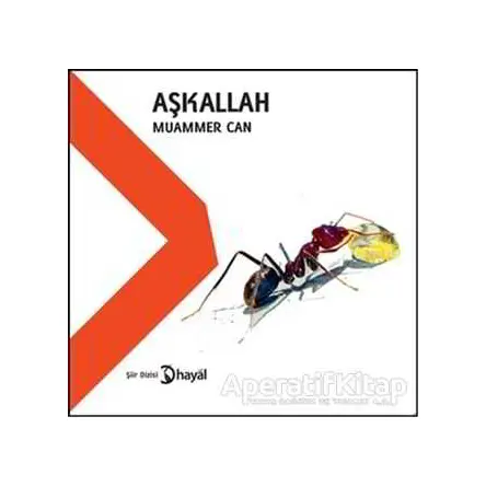 AşkAllah - Muammer Can - Hayal Yayınları