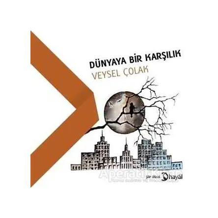 Dünyaya Bir Karşılık - Veysel Çolak - Hayal Yayınları