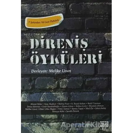 Direniş Öyküleri - Derleme - Nota Bene Yayınları