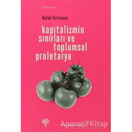 Kapitalizmin Sınırları ve Toplumsal Proletarya - Haluk Yurtsever - Yordam Kitap