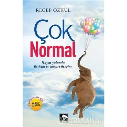 Çok Normal - Recep Özkul - Çınaraltı Yayınları