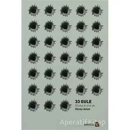 33 Gule - Günay Aslan - Avesta Yayınları