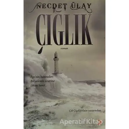 Çığlık - Necdet Ülay - Cinius Yayınları