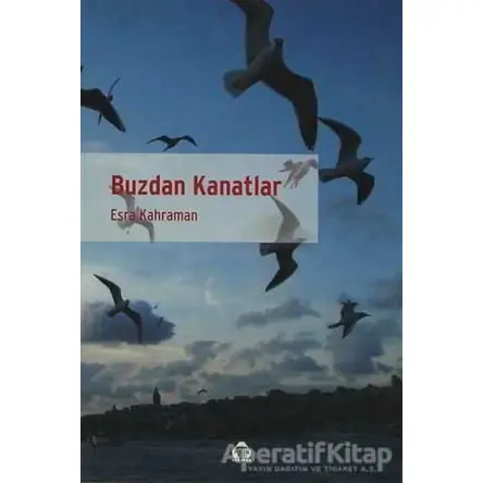 Buzdan Kanatlar - Esra Kahraman - Alan Yayıncılık