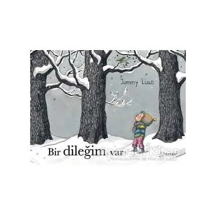 Bir Dileğim Var - Jimmy Liao - Desen Yayınları