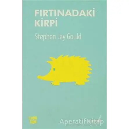 Fırtınadaki Kirpi - Stephen Jay Gould - Versus Kitap Yayınları