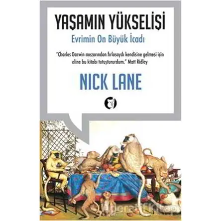 Yaşamın Yükselişi - Nick Lane - Aylak Kitap