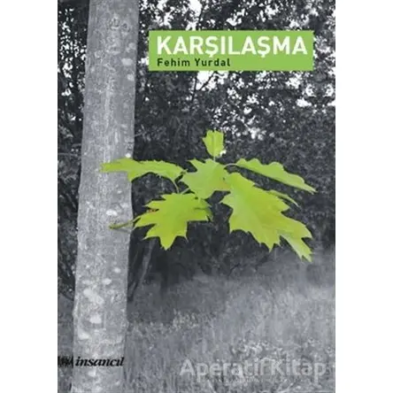 Karşılaşma - Fehim Yurdal - İnsancıl Yayınları