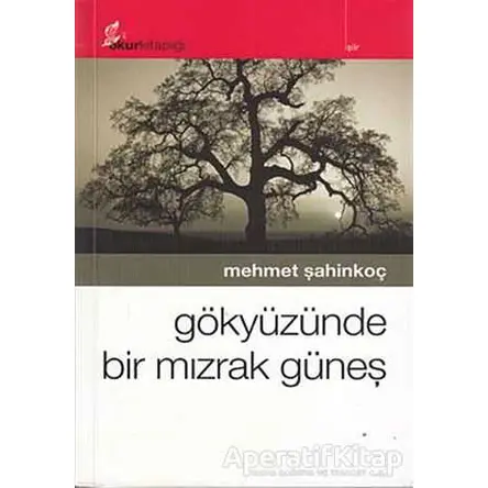 Gökyüzünde Bir Mızrak Güneş - Mehmet Şahinkoç - Okur Kitaplığı
